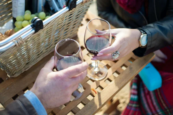 a couple toasting with glasses of wine